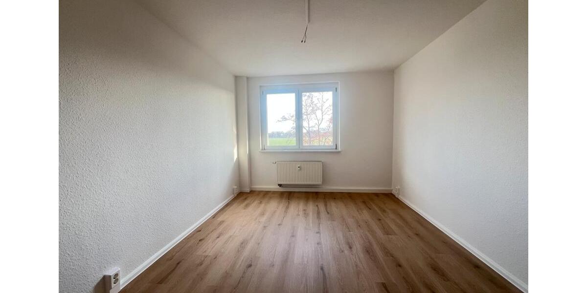 Etagenwohnung Riesa - 3 Zimmer, 61 m&sup2;, 450&euro; | Angebot:24987014
