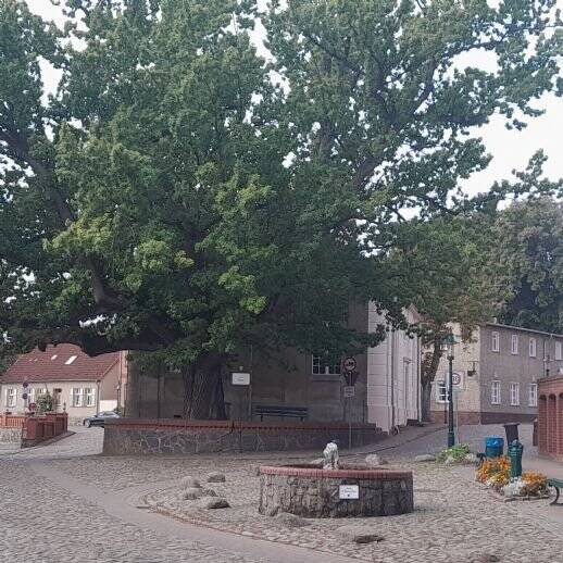 Grundstück Rheinsberg Flecken Zechlin - 83.000&euro; | Angebot:25773093