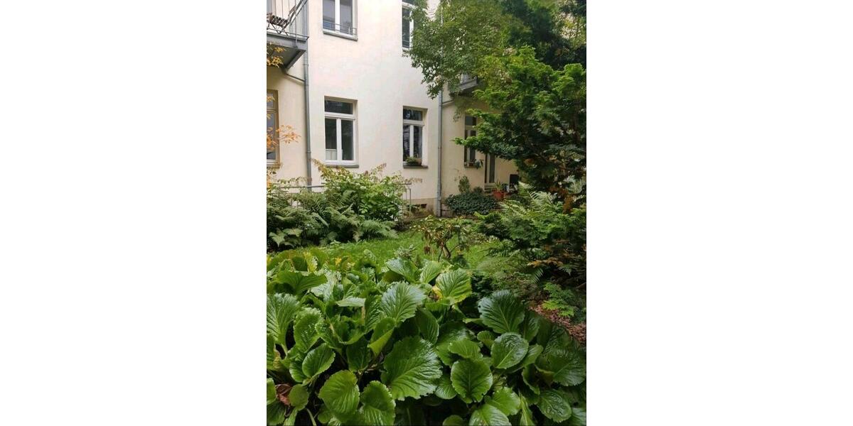 Erdgeschoßwohnung Dresden Neustadt - 1 Zimmer, 35 m&sup2;, 610&euro; | Angebot:26490616