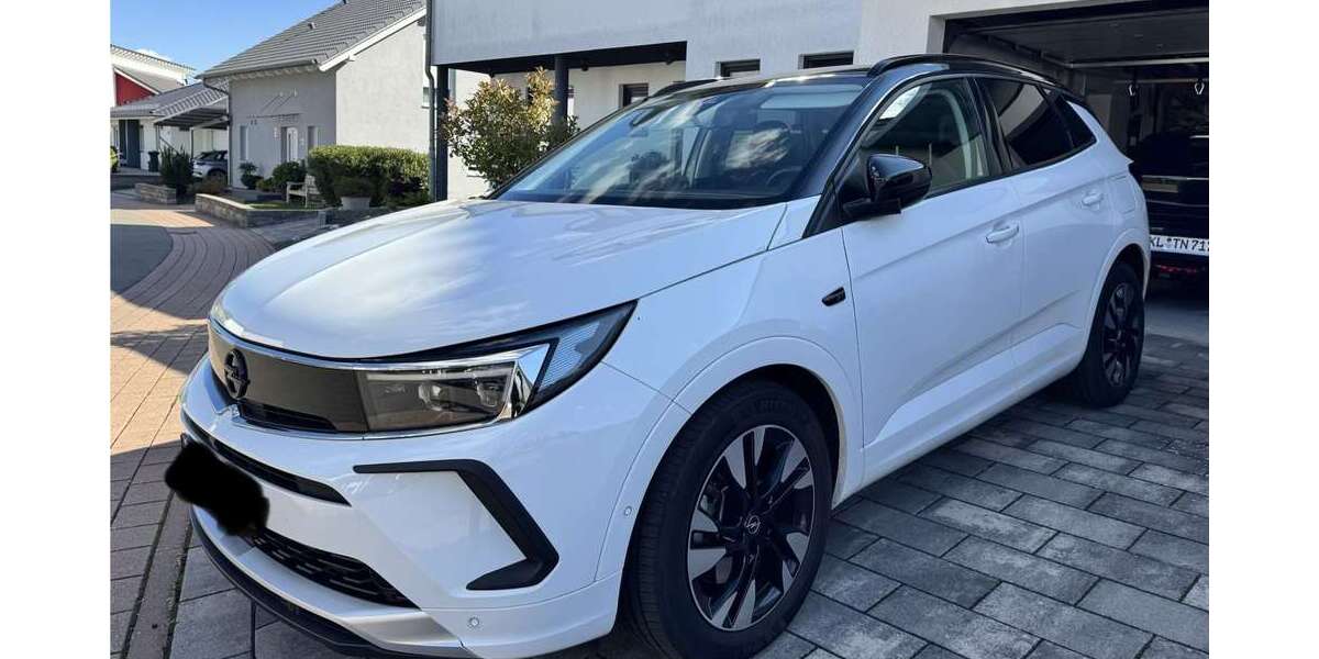 Opel Grandland X 30.000 km 28.000 &euro; weilerbach 67685