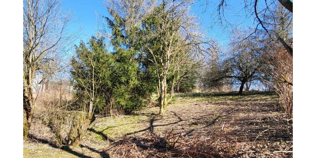 Grundstück Sonneberg Blechhammer - 24.000&euro; | Angebot:25985987