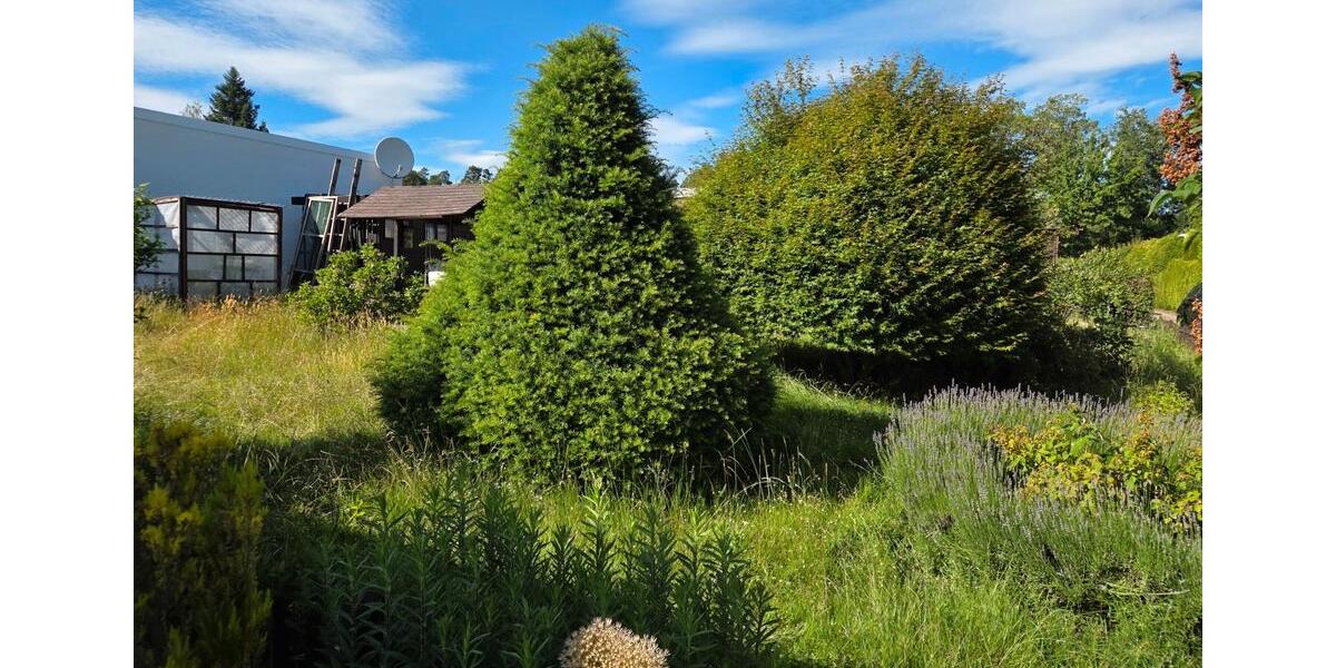 Bungalow Neuhausen - 4 Zimmer, 69 m&sup2;, 249.000&euro; | Angebot:26988606