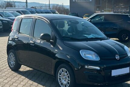 Fiat Panda 6.000 km 17.699 &euro; Trier 54294