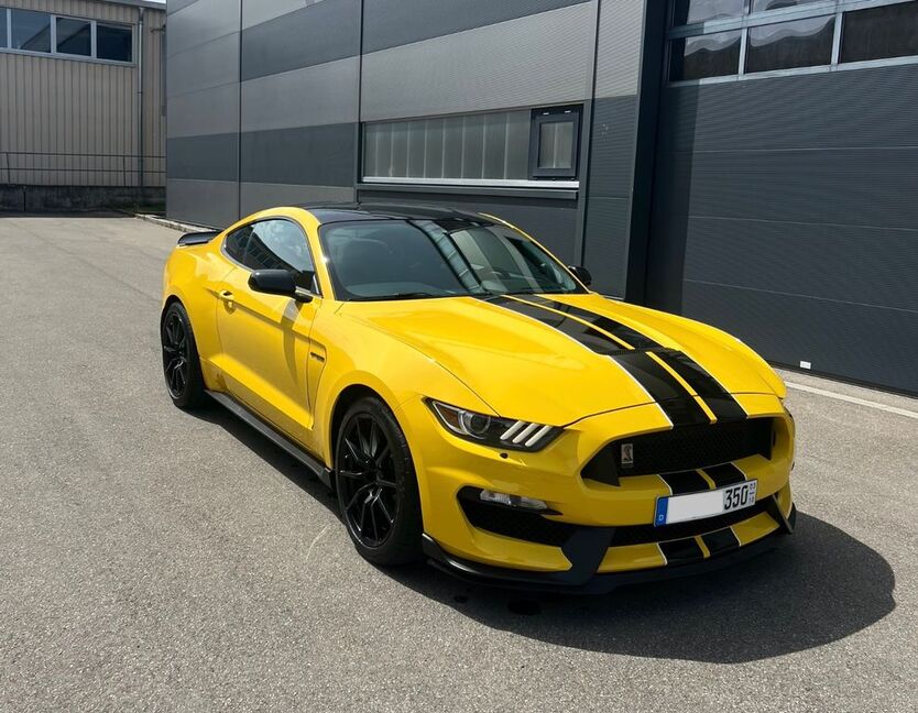 Mustang
