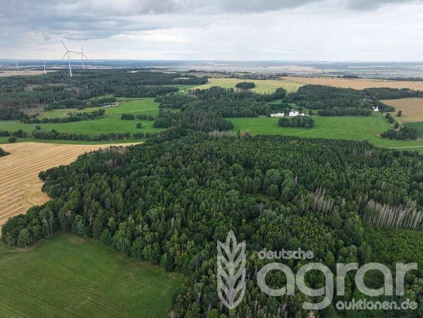 Grundstück in Auma 20.800 € 24809 m²