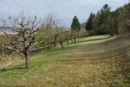 Grundstück zu verkaufen in Herbrechtingen 60.000 € 1500 m² zimmer