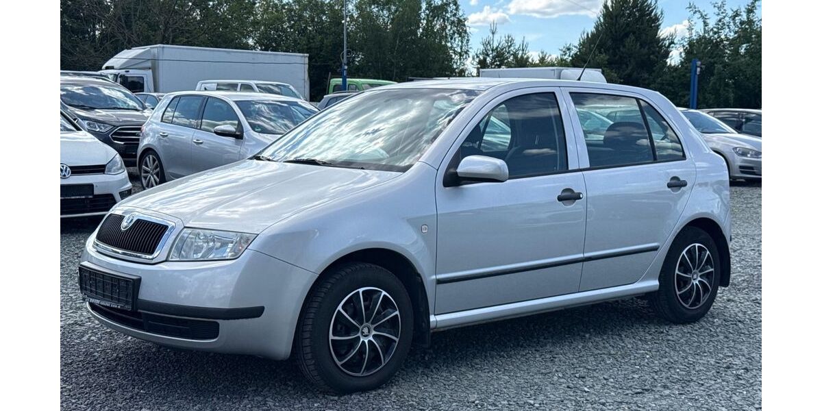 Skoda Fabia 51.441 km 2.899 &euro; Schleifreisen 07629
