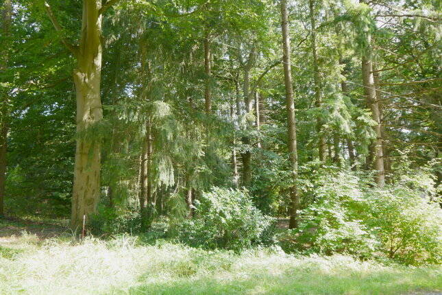 Grundstück Hechthausen - 79.860&euro; | Angebot:25694779