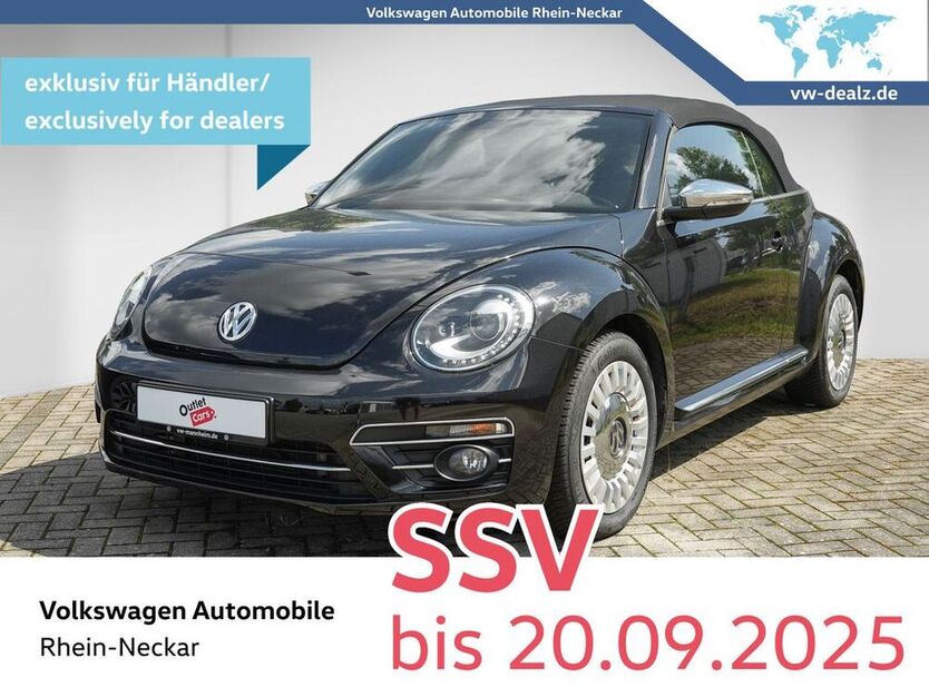 Beetle