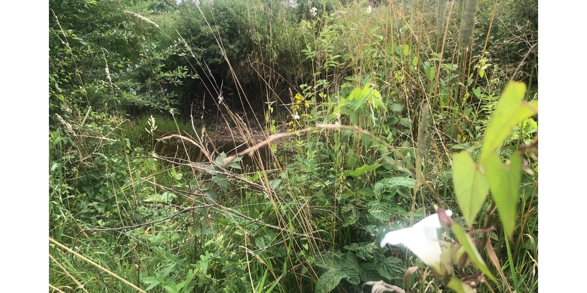 Idyllisches Grundstück am Bachlauf vor den Toren Münchens im schönen Penzberg - Grundstück Penzberg | Angebot:21677304