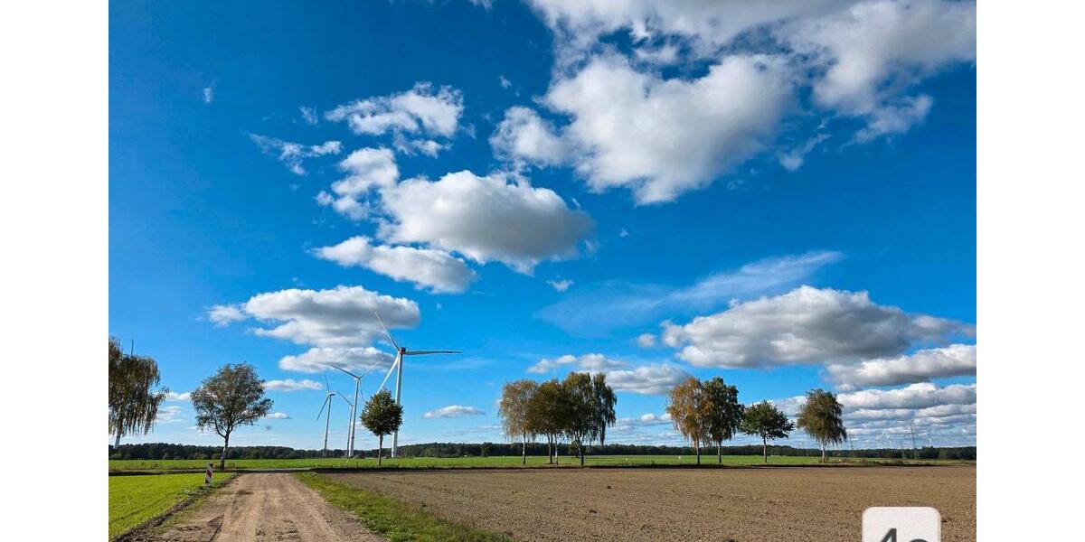 Einfamilienhaus Uelzen - 12 Zimmer, 219 m&sup2;, 295.000&euro; | Angebot:25901736