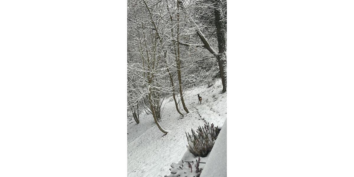 Einfamilienhaus Bad Soden am Taunus - 4 Zimmer, 90 m&sup2;, 800&euro; | Angebot:25337684