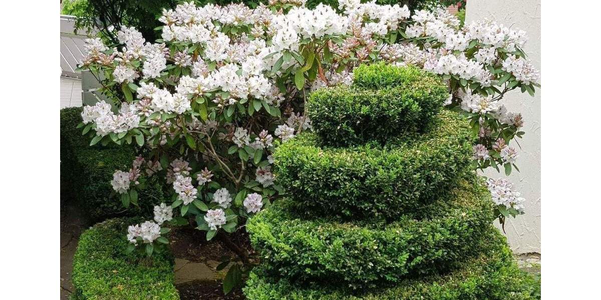 Mehrfamilienhaus, Wohnhaus Nürtingen Oberensingen - 1 Zimmer, 234 m&sup2;, 1.090.000&euro; | Angebot:25958506