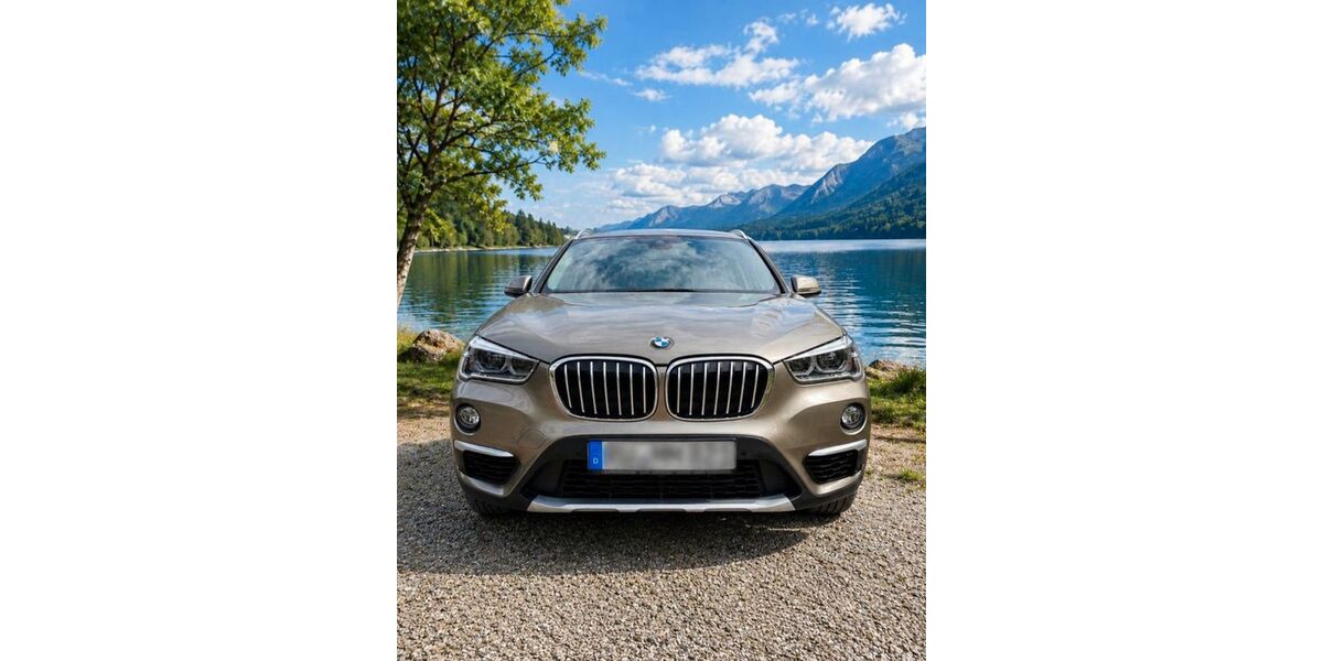 BMW X1 99.000 km 17.500 &euro; Rudolstadt 07407