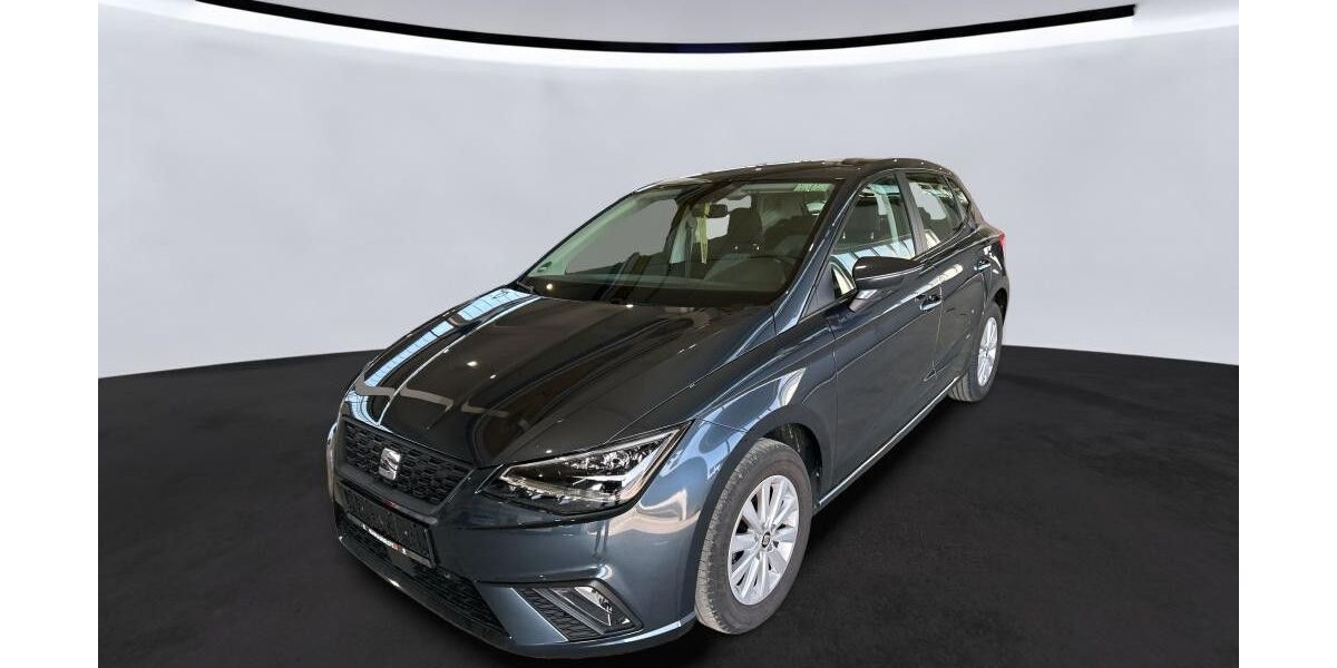 Seat Ibiza 67.276 km 15.200 &euro; Sasbach 77880