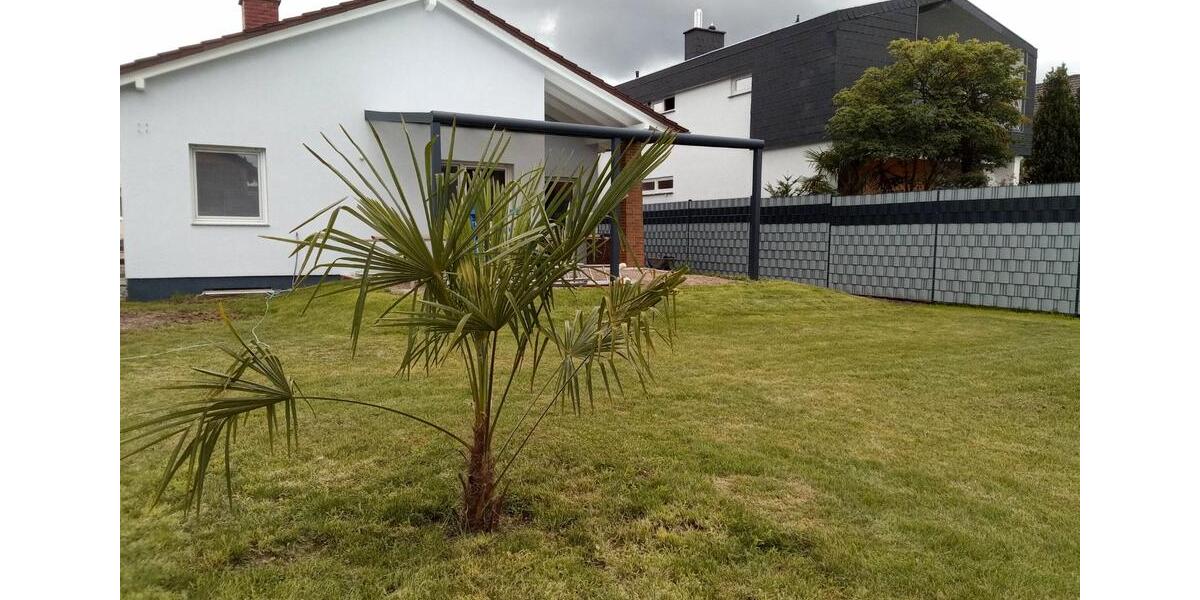 Einfamilienhaus Sankt Leon-Rot Rot - 7 Zimmer, 190 m&sup2;, 2.350&euro; | Angebot:25374579