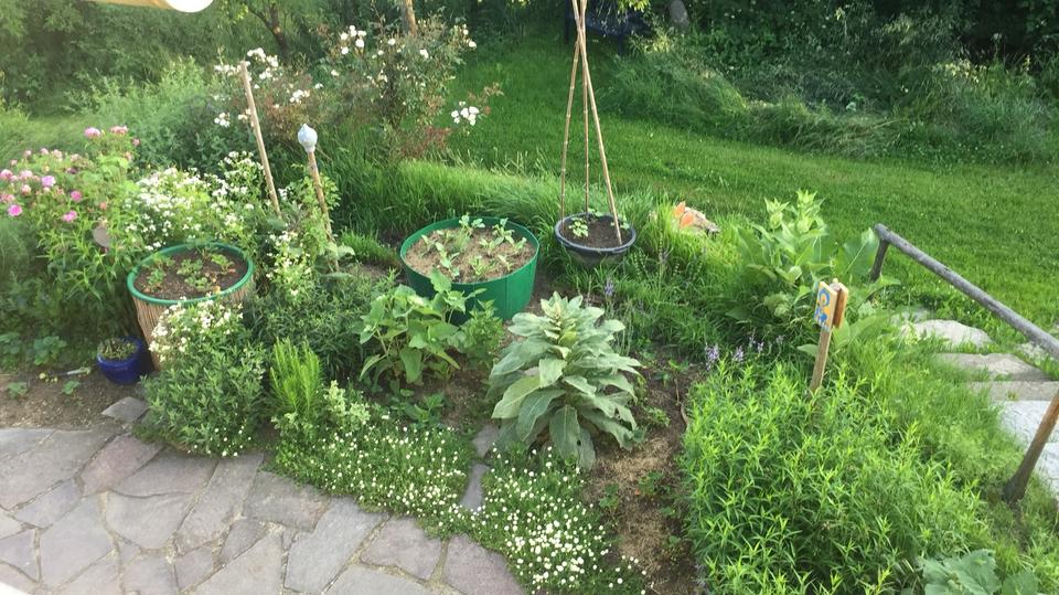 Etagenwohnung Neukirchen vorm Wald - 2 Zimmer, 30 m&sup2;, 150&euro; | Angebot:26394280