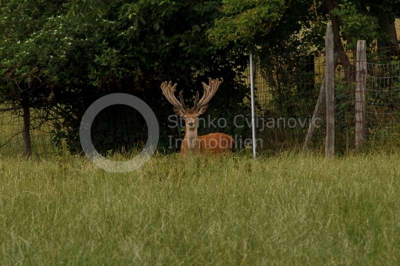 Etagenwohnung Kranzberg - 2.5 Zimmer, 79 m&sup2;, 229.750&euro; | Angebot:20198651