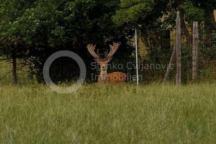 Wohnung Kranzberg - 2.5 Zimmer, 79 m&sup2;, 229.750&euro; | Angebot:20198651