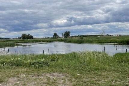 Helle 2-Zimmer Wohnung im EG mit Terrasse und Einbauküche 2 zimmer