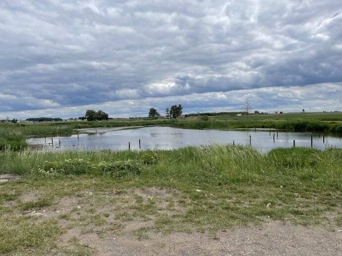 Helle 2-Zimmer Wohnung im EG mit Terrasse und Einbauküche 2 zimmer