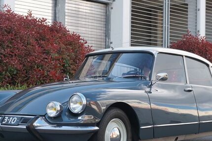Citroen DS 85.516 km 27.900 &euro; Elsdorf 50189