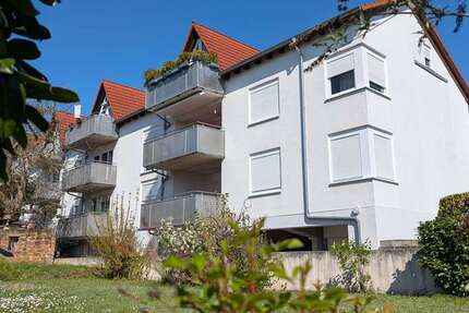 Wohnung Mackenbach - 2 Zimmer, 62 m&sup2;, 740&euro; | Angebot:26398708