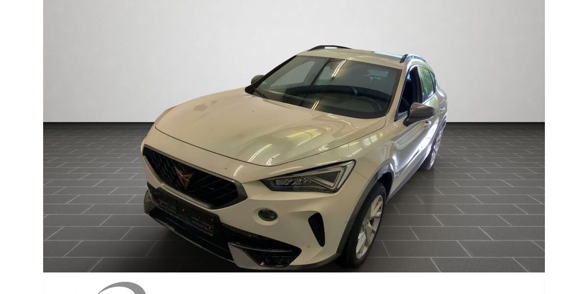 Cupra Formentor 36.773 km 26.980 &euro; Mainz 55129