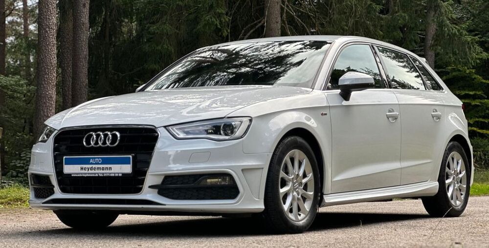 A3