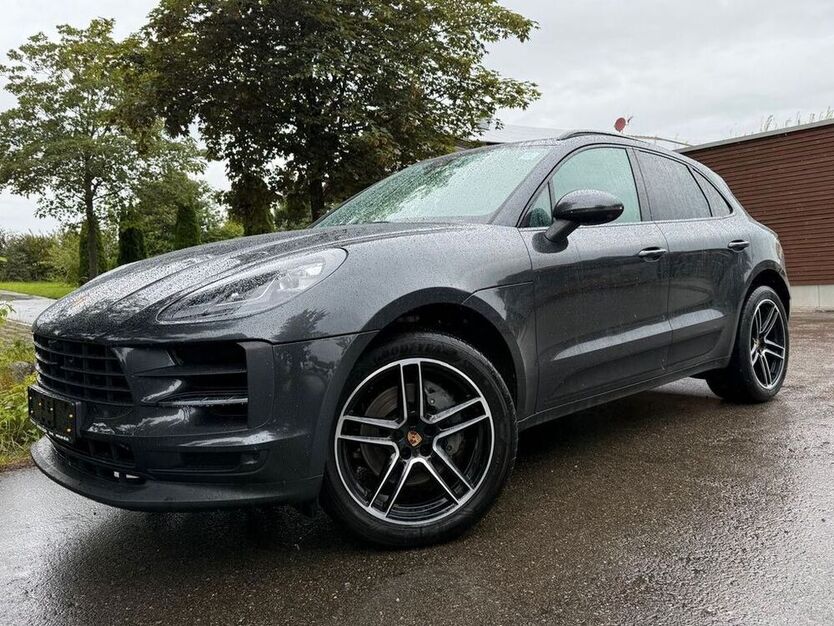 Macan
