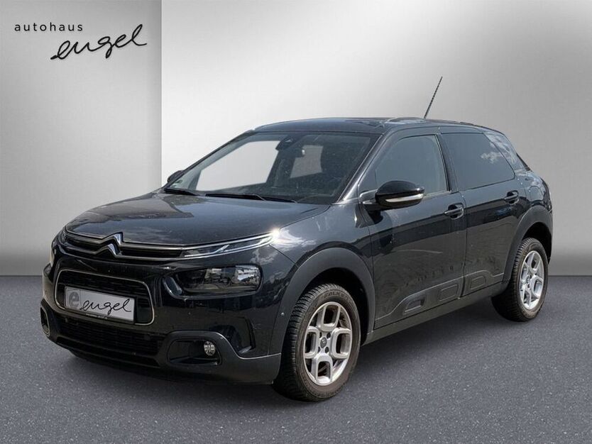 C4 Cactus