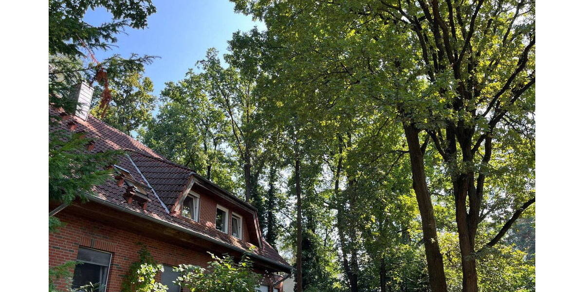 Mehrfamilienhaus, Wohnhaus Glienicke/Nordbahn Nordbahn - 1 Zimmer, 269 m&sup2;, 1.050.000&euro; | Angebot:26419178