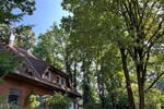 Mehrfamilienhaus, Wohnhaus Glienicke/Nordbahn Nordbahn - 1 Zimmer, 269 m&sup2;, 1.050.000&euro; | Angebot:26419178