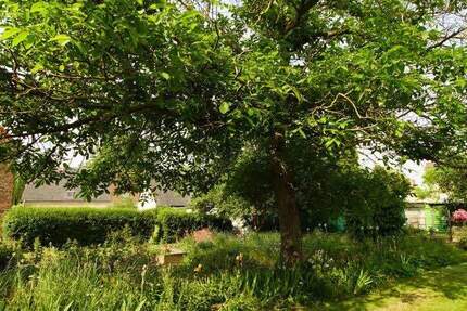 Grundstück Schkopau-Hohenweiden Hohenweiden - 99.000&euro; | Angebot:24975201