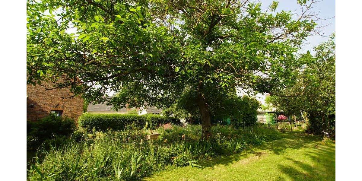 Grundstück Schkopau-Hohenweiden Hohenweiden - 99.000&euro; | Angebot:24975201