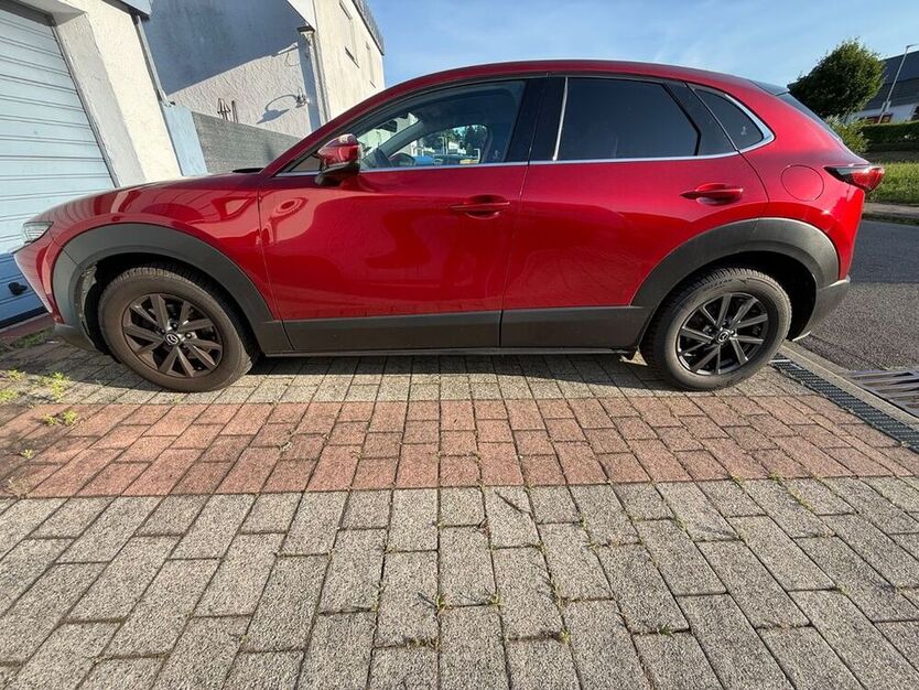 CX-30