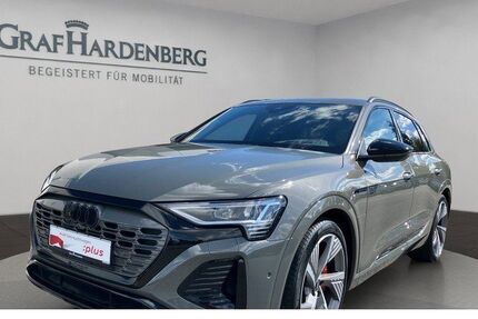 Audi Q8 e-tron 86.600 km 47.930 &euro; Singen 78224