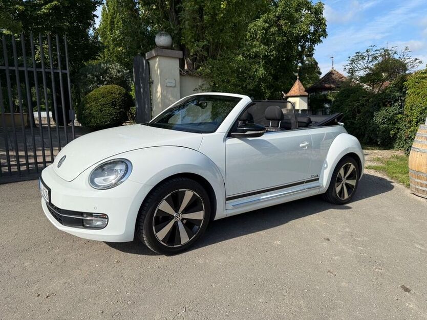 Beetle
