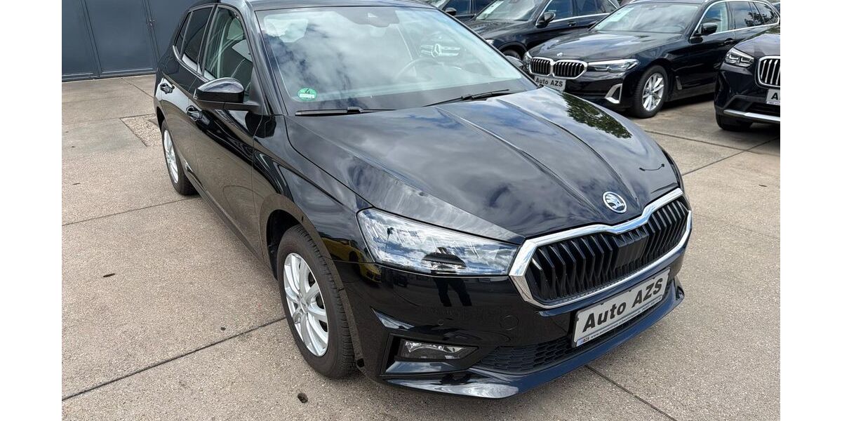 Skoda Fabia 21.330 km 19.950 &euro; Schwetzingen 68723