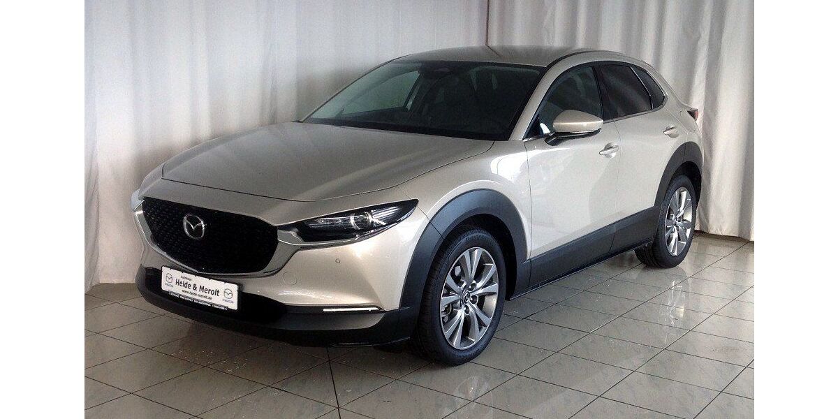 Mazda CX-30 13.464 km 29.990 &euro; Bad Liebenwerda 04924