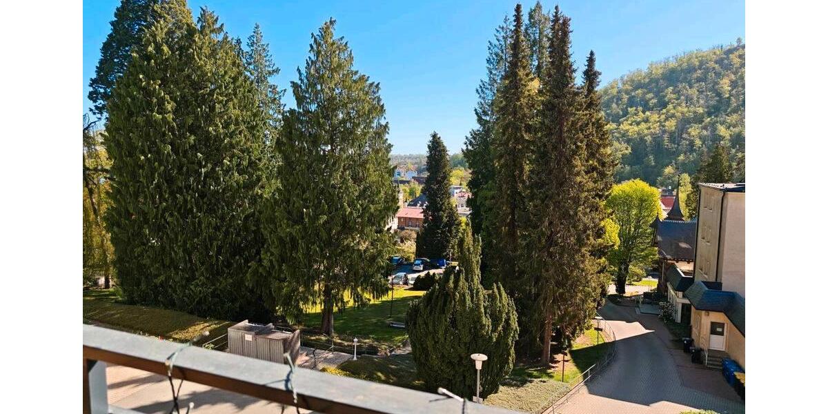Etagenwohnung Bad Harzburg - 2 Zimmer, 53 m&sup2;, 115.000&euro; | Angebot:26987336