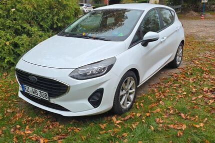 Ford Fiesta 124.000 km 12.000 &euro; Berkenthin 23919