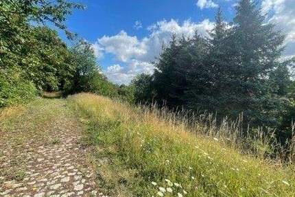 Grundstück Wethau - 55.000&euro; | Angebot:25680420