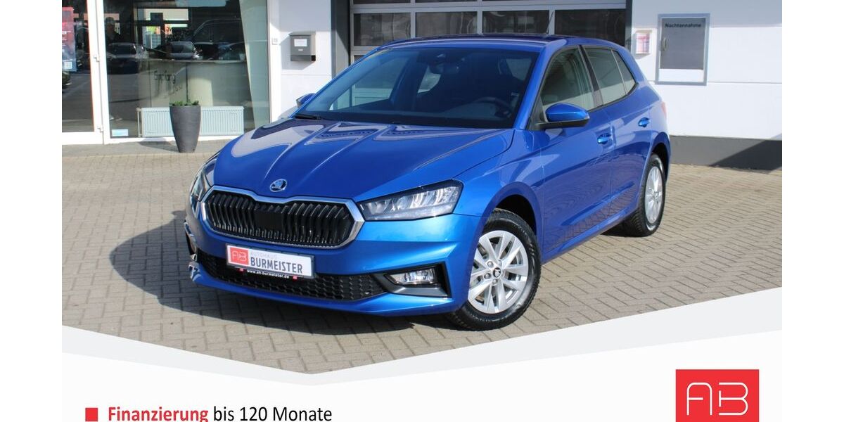 Skoda Fabia 1.087 km 23.990 &euro; Parchim 19370