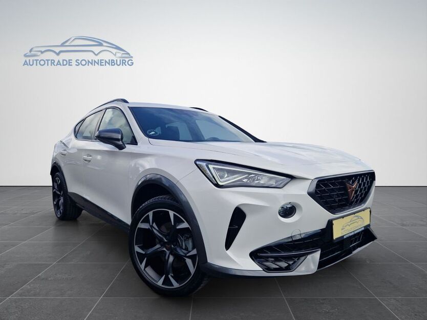 Cupra Formentor 16.552 km 29.490 € Mehlingen 67678