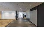 Freie Atelier- Bürofläche mit moderner Atmosphäre - All-in-Miete