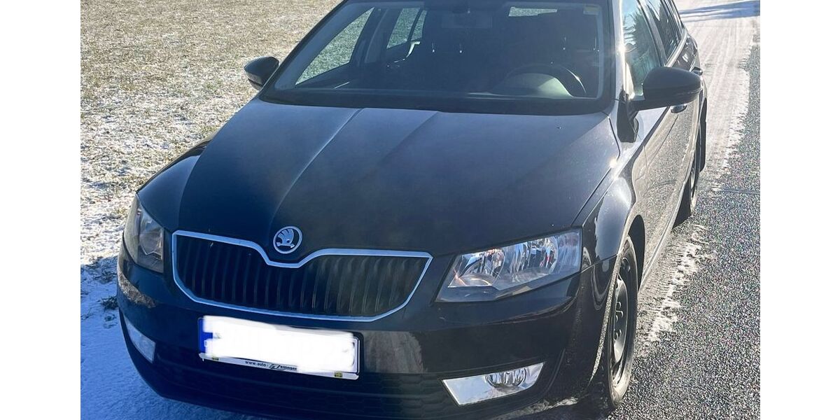 Skoda Octavia 97.000 km 15.900 &euro; Pfreimd 92536