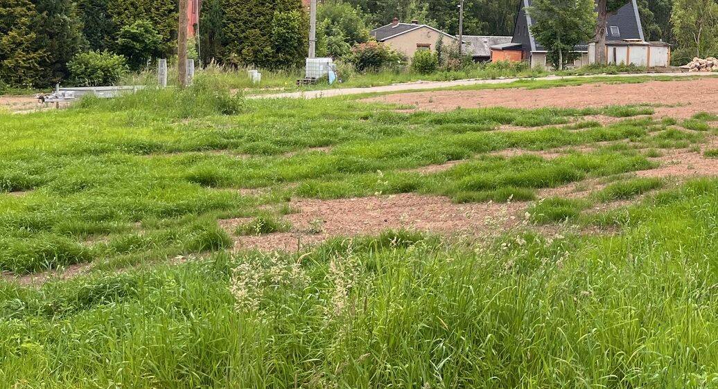 Baugrundstück in Flöha zimmer
