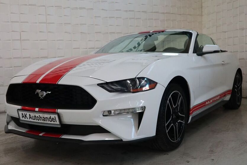 Mustang