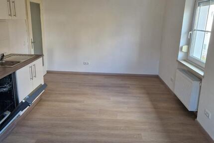 1,5-Zimmer-Wohnung zur Miete 1 zimmer